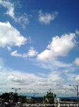2006COI_shizuoka_02.jpg